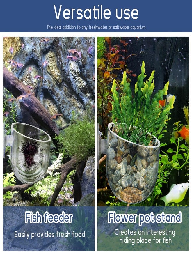 Alrhso 2Pcs Aquarium Plant Holder Suction Cup Planter Fish Tank Plant Pots Clear Acrylic Aquatic Plants Pot Aquarium Plants Cup for Fish Tank Aquascape Decorations Water Culture Decor - Image 3
